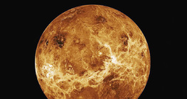 Vénus