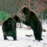 ours