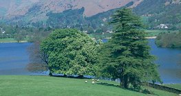Les prairies forêt-parc peuvent se rencontrer dans les zones déforestées d'Angleterre