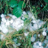 Après un orage de grêle