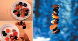 Wintervogelfutter machen