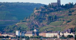 La pittoresque Vallée du Rhin