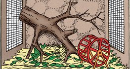 Einrichtung des Terrariums