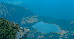 Petit lac de montagne dans les Carpates