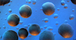 E. coli Bakterienkolonien (farbiger Hintergrund)