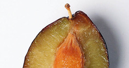 Prune