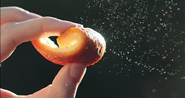 Ätherische Öle - Orangenschale