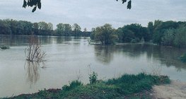 Marée haute sur le Danube