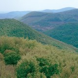 Bruchschollengebirge