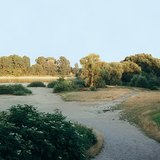 Eb bij de Donau - 2