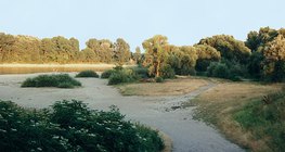 Marée basse sur le Danube