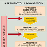 A termelőtől a fogyasztóig
