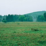 Bükk Plateau (Hongarije)