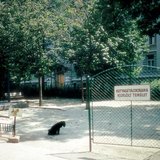 Zone pour la promenade des chiens