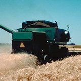 Harvesting
