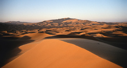 Sanddünen in der Sahara
