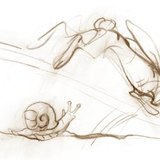 L'escargot est lent alors que le lapin est rapide