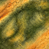 Vouwen van mensenhuid (vingers) onder gepolariseerd licht