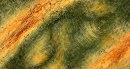 Falten der menschlichen Fingerhaut unter polarisiertem Licht