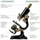 A fénymikroszkóp felépítése