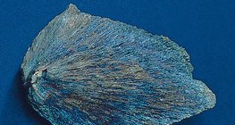 Azurite