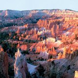 Bryce Canyon, Utah, USA