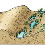 Formation de dunes de sable