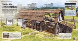 Das mittelalterliche Bauernhaus