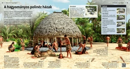 Die polynesische Familiensiedlung