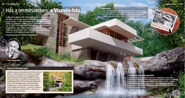 Im Einklang mit der Natur: Das Fallingwater-Haus