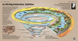 Lo sviluppo della flora e fauna