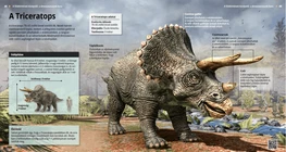 Triceratopo