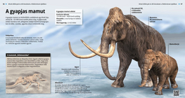 Woolly Mammoth