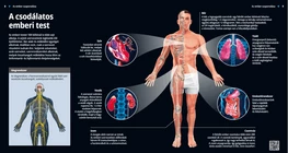 Il meraviglioso corpo umano 8