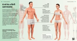 Il corpo femminile e maschile