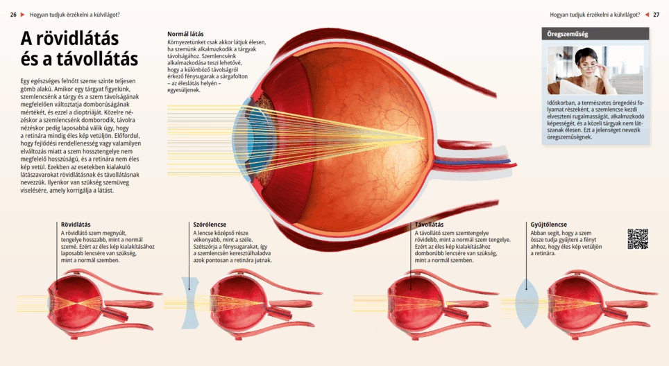 Nearsightedness and Farsightedness