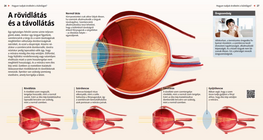 Nearsightedness and Farsightedness