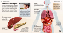 Die Verdauungsdrüsen