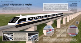 Treno a levitazione magnetica, MagLev