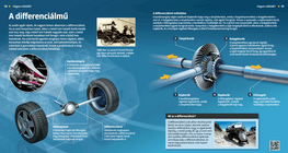 The Differential Gear