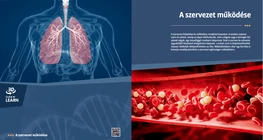 Il sistema degli organi