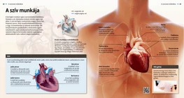Il lavoro del cuore