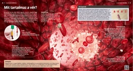 Da cosa č costituito il sangue?