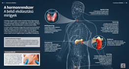 The Hormonal System – Endocrine glands