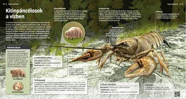 Tardigradi e gamberi: animali in muta