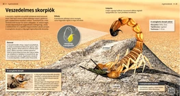 Scorpioni: piccoli ma letali