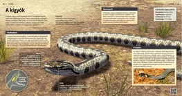 Serpenti: creature dotate del dente velenoso