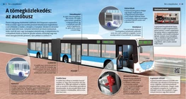 Trasporto pubblico: l’autobus