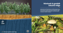 The Diverse World of Plants and Fungi