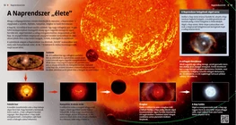 Il ciclo vitale del Sistema Solare